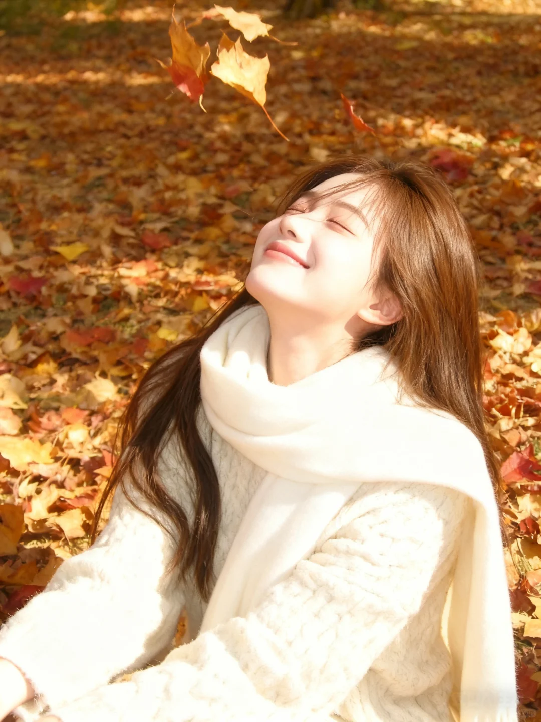 专题  网盘拉新教程-亦风推文-不只是推文